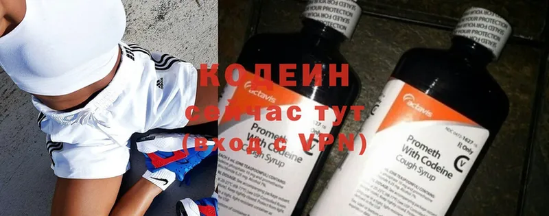 блэк спрут как зайти  Алапаевск  Codein Purple Drank  купить наркотик 